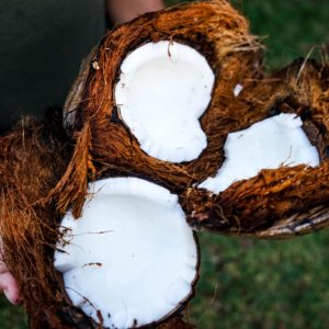 coconut fresh