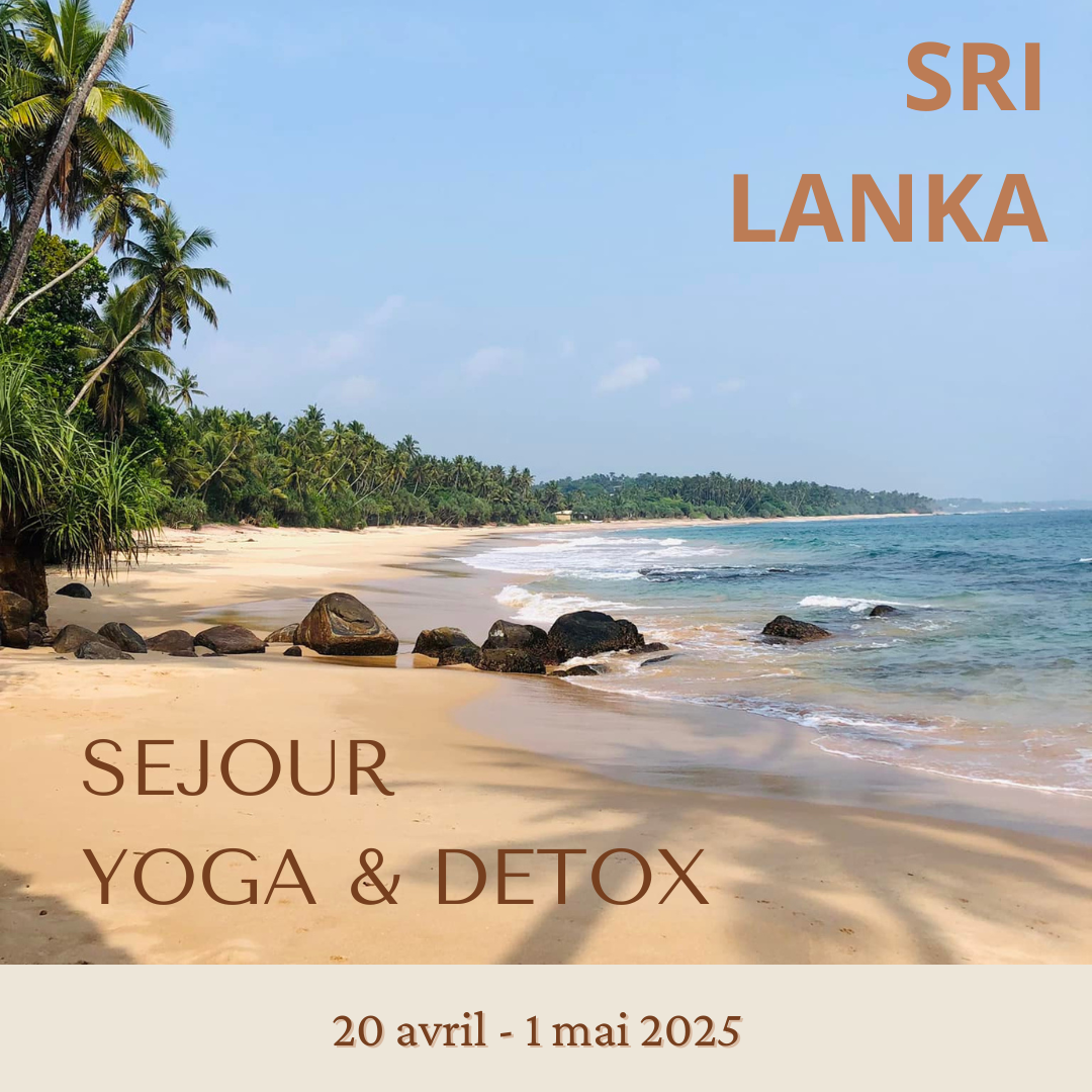 Sej-yoga-slk-2025